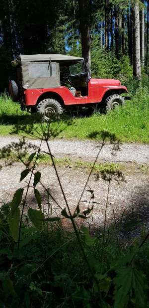 Jeep Willys WILLYS-OVERLAND OLDTIMER 4x4 CJ-5 Bild 5