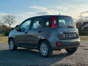 Fiat Panda Easy 1.2 LPG Radio Klima Bild 4