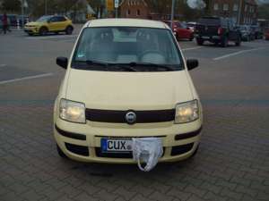 Fiat Panda Fiat Panda 1,1 40 KW ,54 PS Bild 1