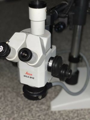 WILD Heerbrugg M10 Stereo Mikroskop Leica Fototubus Bild 1