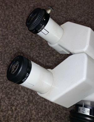 WILD Heerbrugg M10 Stereo Mikroskop Leica Fototubus Bild 5