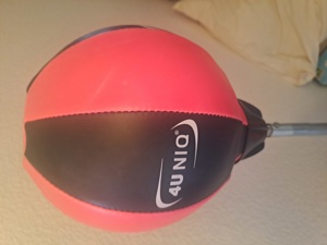 Punching ball set 4U NIQ mit Boxhandschuhen Bild 3