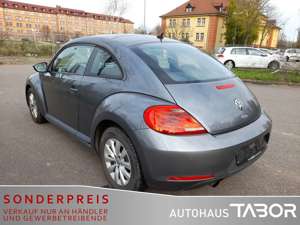 Volkswagen Beetle 1.2 TSI Climatr GRA PDC LM SHZ Bild 4