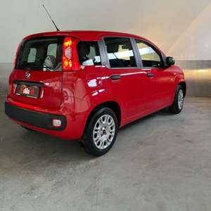 Fiat Panda New 1.2 Lounge TOP Zustand wenig gelaufen Bild 4