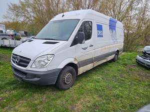 Mercedes-Benz Sprinter 310/311/313/314/316 CDI (906.631/633/635/637) Bild 3