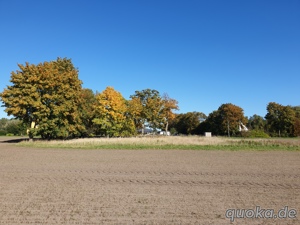 Unbebautes Grundstück, neu vermessen, 3000 qm, LK Pasewalk, zvk.