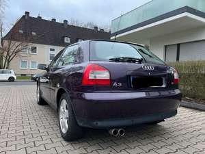 Audi A3 1.6 Attraction Bild 5