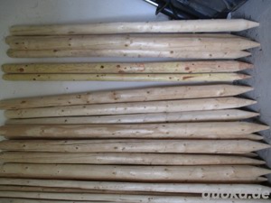 Pfähle, Pfosten Bild 2