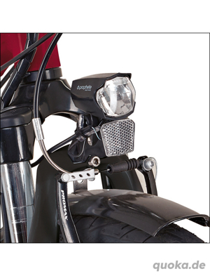 Didi THURAU Edition E-Bike Alu City Rad-Roller 26" Bild 5