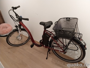 Didi THURAU Edition E-Bike Alu City Rad-Roller 26" Bild 4