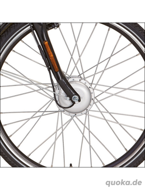 Didi THURAU Edition E-Bike Alu City Rad-Roller 26" Bild 6