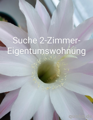 Suche 2-Zimmer-Eigentumswohnung 