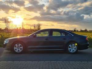 Audi A8 Bild 3