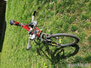 Mountainbike der Marke Storck Model Bandit Bild 4
