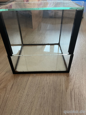 terrarium 20x20x20