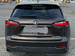 Lexus NX 300h NX 300h E-FOUR Executive-Line Bild 5