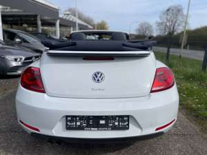 Volkswagen New Beetle 1.8 Turbo * AUTOMATIK * HU/AU NEU * Bild 4