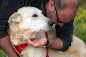 Obelix, ein tapferer Bursche! Bild 5