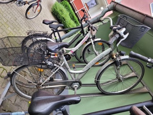 Fahrrad Bild 1
