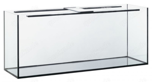 suche aquarium ab 300l 