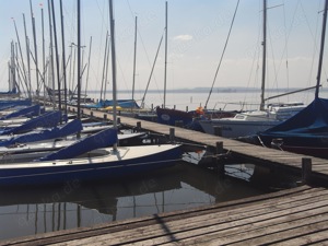 Bootsverleih Kielhorn   Steg N 21 -  Bootsliegeplätze am Steinhuder Meer Bild 2