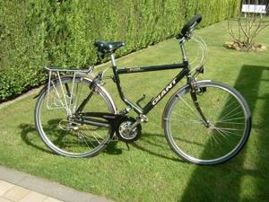 Herrenrad Marke Giant zu verkaufen Bild 2