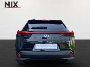 Lexus UX 250h Style Edition KAMERA SHZ KLIMA Bild 4