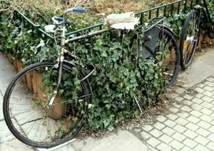 Suche Fahrrad zu verschenken auch Reparatur bedürftige