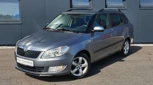 Skoda Fabia 1.2 TSI Family*SHZ*PDC*Tempomat*Klimaautomatik