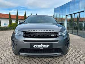 Land Rover Discovery Sport P240 SE|Black Pack|Meridian|Pano Bild 3