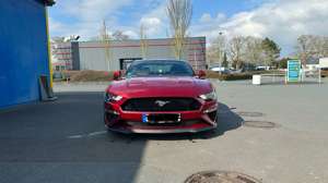 Ford Mustang Bild 3