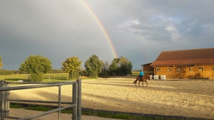 Paddockbox und eine helle kühle Innenbox ab 01.08. frei Bild 8