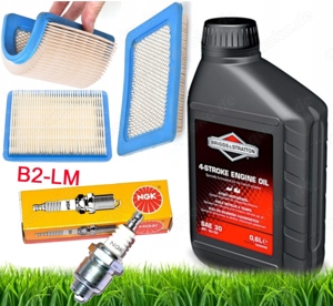 Briggs SAE30-ÖL 0,6 L für Mäher + LUFTFILTER-Zündkerze-SERVICE-KIT