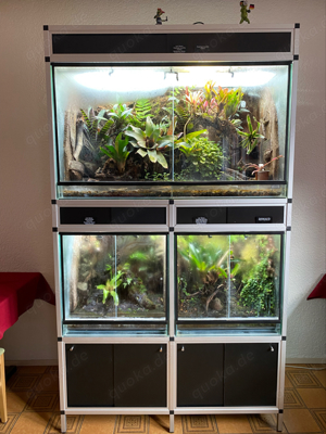 Terrarium für Pfeilgiftfrösche