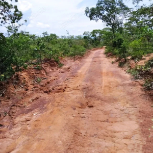  Brasilien  1'000 Hektar grosses Tiefpreis - Grundstück mit Rohstoffen Bild 5