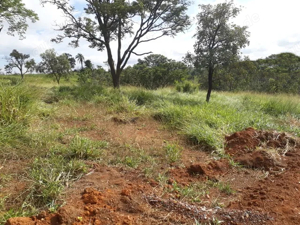  Brasilien  1'000 Hektar grosses Tiefpreis - Grundstück mit Rohstoffen Bild 1