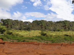  Brasilien  1'000 Hektar grosses Tiefpreis - Grundstück mit Rohstoffen Bild 4