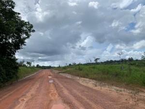 Brasilien riesengrosse 1'524 Ha Rinderfarm Region Manaus -Apui AM Bild 5