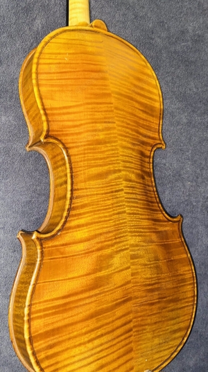 Sehr Schöne Alte Meister Violine Geige mit Inschrift Leone Sanavia 1969 Venezia Bild 8