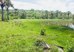  Brasilien 2'800 Ha Tiefpreis - Grundstück mit Rohstoffen Region Presidente Figueiredo