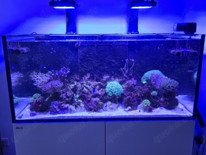 Red Sea Reefer 425XL G2