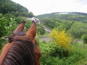 Bericht über einen Wanderritt von Stuttgart an den Atlantik und zurück in Deutsch und Französisch