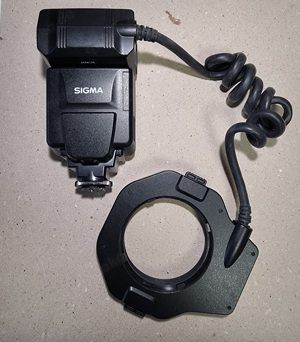 Sigma Ringblitz für Nikon Bild 3