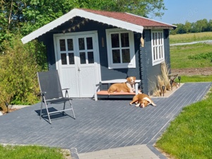 Nordseenahes Ferienhaus in Ostfriesland für Familie und Co. Bild 4