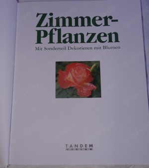 BL Tandem Verlag Zimmerpflanzen ST Dekorieren mit Blumen Ratgeber kaum genutzt sehr gut erhalten Rat