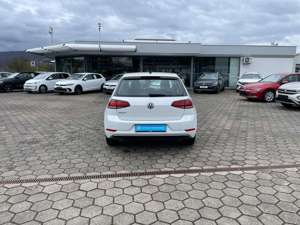 Volkswagen Golf VII Comfortline 1.5 TSI LED+SHZ+AHK+LM+PDC+ Bild 5