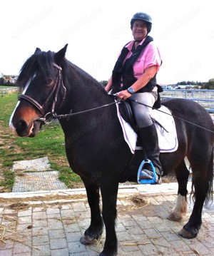 Biete Pflege-   Reitbeteiligung  Bild 2