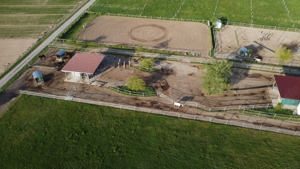 Stallplatz für Wallach in 76770