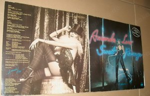 B LP AMANDA LEAR SWEET Revenge 1978 Ariola LC 0116  Langspielplatte Schallplatte Vinyl