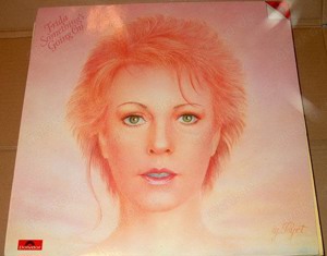 B LP FRIDA SOMETHING S GOING ON 1982 Polydor 2311 176  Langspielplatte Schallplatte Vinyl 